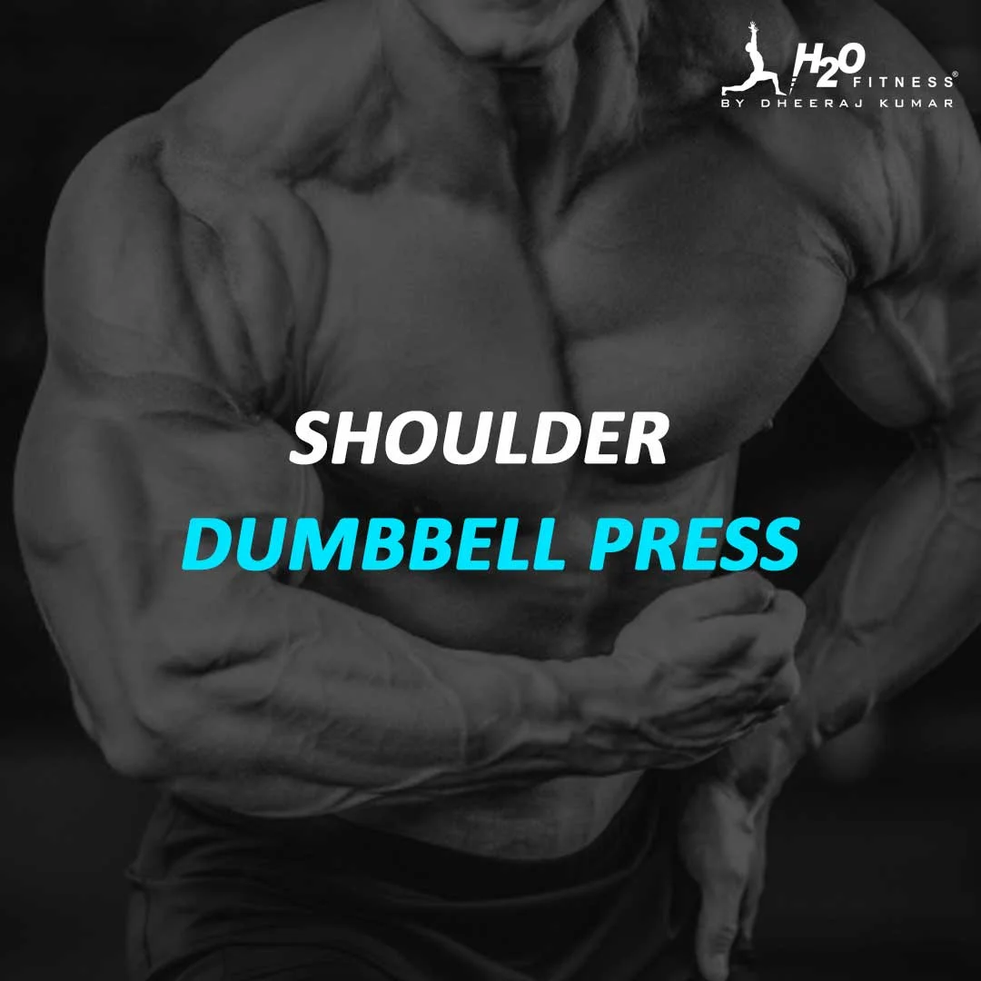 Shoulder - Shoulder Dumbbell Press